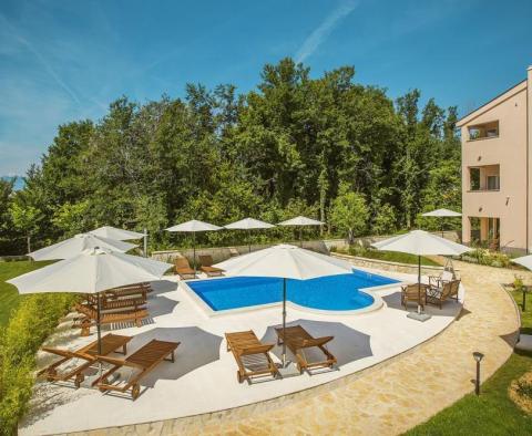 Butikový hotel se 7 apartmány a krásnou zahradou v Bašce na Krku, pouhých 500 metrů od moře - pic 30