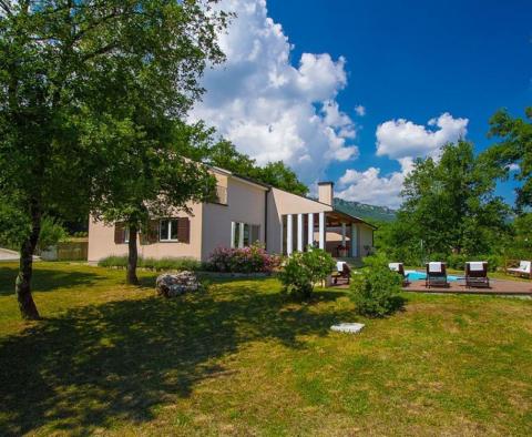 Modernly designed villa with pool on a large garden in Buzet area 