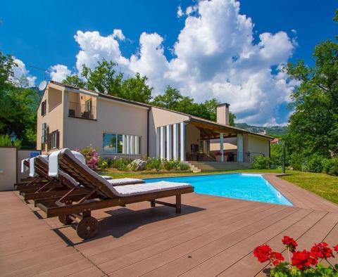 Modernly designed villa with pool on a large garden in Buzet area - pic 2