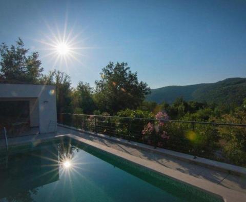 Beautiful villa with secluded swimming pool and fantastic aura - pic 32