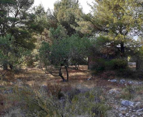 Construction land with sea views just 500 meters from the sea on Solta island! - pic 9