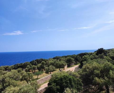 House with 3 apartments by the sea in Lun, Novalja, Pag peninsula - pic 16