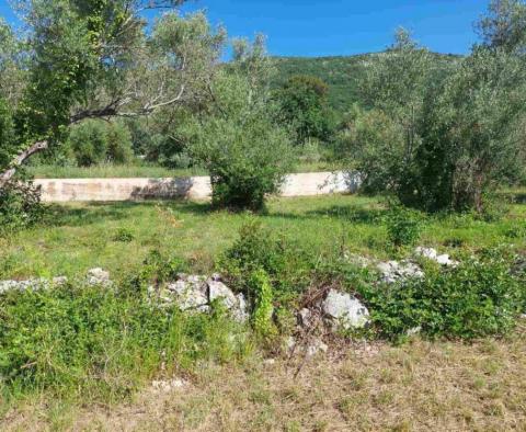 Land plot with sea views in Drenje, Raša - pic 5