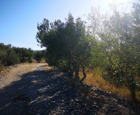 Group of land plots for sale in Milna on Brac island, for luxury villas construction - pic 3