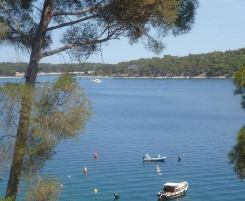 Apart-house with swimming pool and 6 apartments on the first line to the sea on Mali Losinj - pic 11