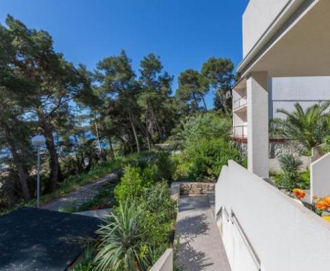 Apart-house with swimming pool and 6 apartments on the first line to the sea on Mali Losinj 