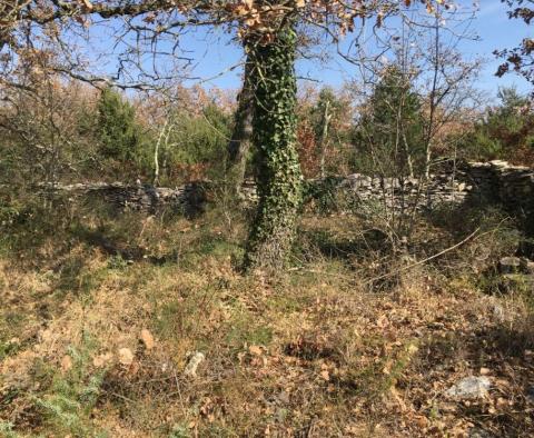 Prodej pozemku - skvělá příležitost v Smoljanci, Svetvinčenat, přes 1 ha - pic 9