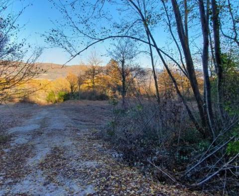 Land with panoramic views in Vižinada, 5.261m2 - pic 17