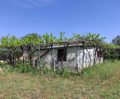 House in Fažana on a large terrain of 3561 sq.m. cca. 2 km from the sea - pic 2