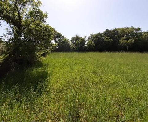 Adrionika offers great land in Peruški, Marčana - 0,5 ha - pic 2