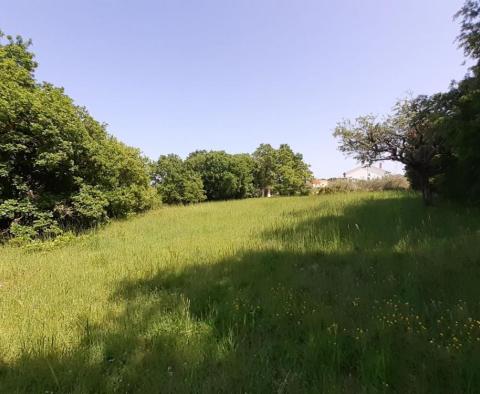 Adrionika offers great land in Peruški, Marčana - 0,5 ha - pic 4