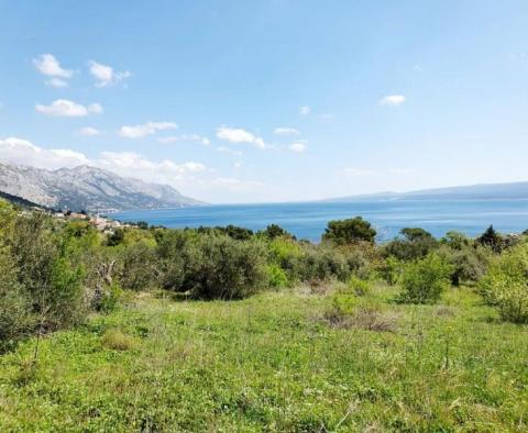 Rare terrain for sale in Brela with sea views, just 240 meters from the sea - pic 5