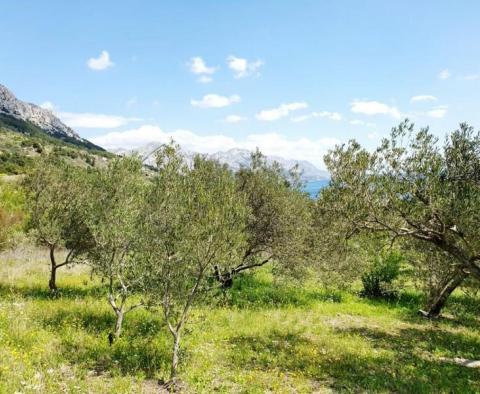 Seltenes Grundstück zum Verkauf in Brela mit Meerblick, nur 240 Meter vom Meer entfernt - foto 7