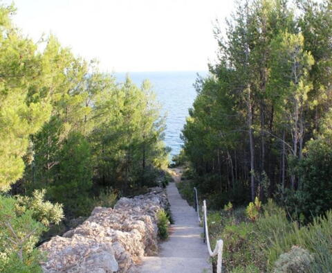 Exceptional property on Hvar island with 4 apartments, by the sea - pic 13