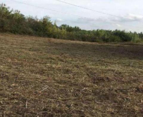 Fantastic investment land in the meadows of inner Istria - on 1 hectare of land - pic 5