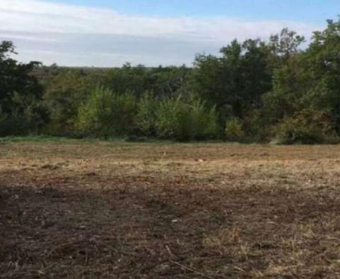 Fantastic investment land in the meadows of inner Istria - on 1 hectare of land - pic 6