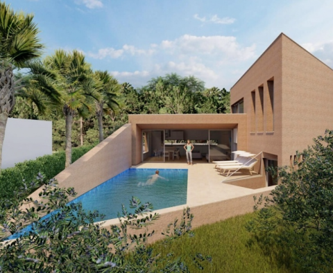 Modernly designed villa with swimming pool just 2 km from sea in Novigrad 