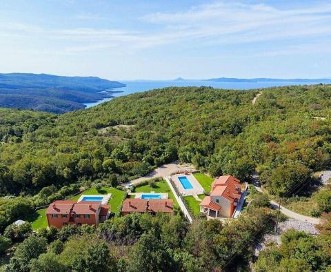 Villa dans un emplacement privilégié dans la région de Rabac, à 4,5 km de la mer - pic 3