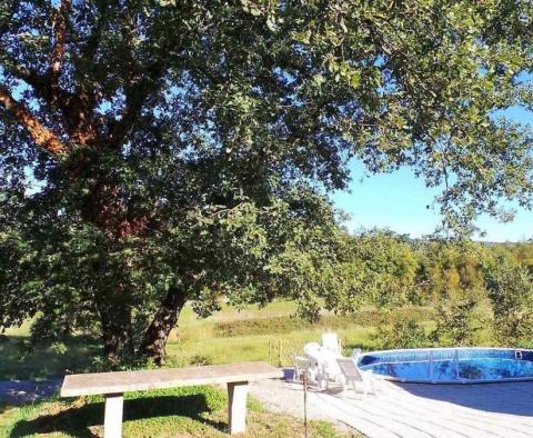 House with a swimming pool and a spacious plot of 22000 sq.m. in Labin area - pic 6