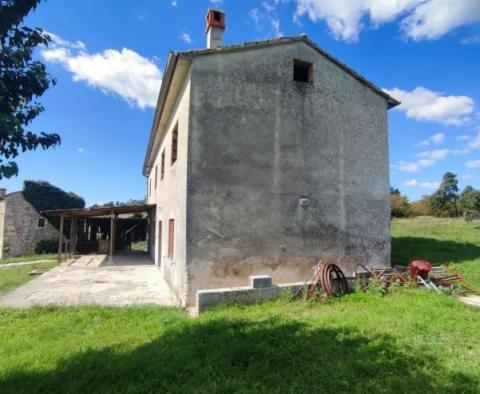 Domaine de 9300 m². avec deux maisons à rénover à Svetvinčenat - pic 3