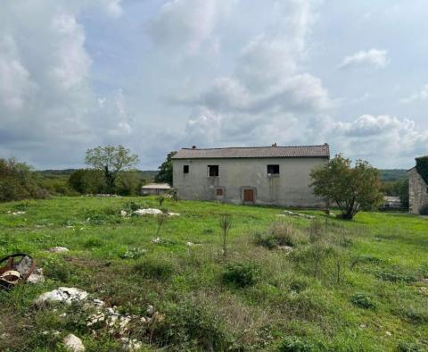 Domaine de 9300 m². avec deux maisons à rénover à Svetvinčenat - pic 6