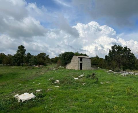 Estate of 9300 sq.m. with two houses for renovation in Svetvinčenat - pic 8
