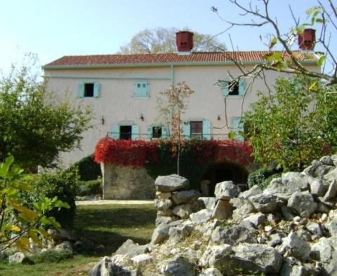 Ancienne maison en pierre sur un grand terrain, Krk - pic 2
