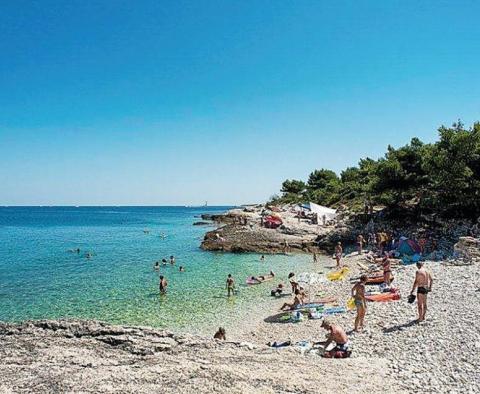 Haus mit drei Wohnungen und wunderschönem Schwimmbad in Valtura, Ližnjan, nur 1 km vom Meer entfernt - foto 21