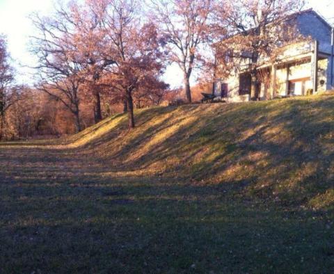 Уникальная усадьба в районе Лупоглав в окружении нетронутой природы площадью 6800 кв.м.! - фото 2