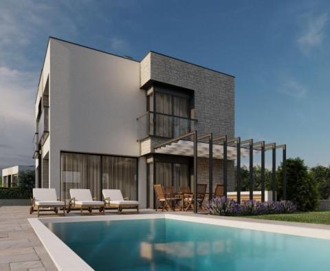 Exceptional modern villa in prestigious Brtonigla - pic 3
