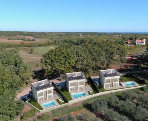 Exceptional modern villa in prestigious Brtonigla - pic 13
