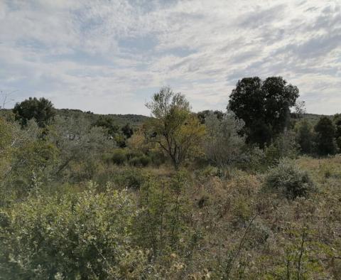 Land plot for sale in Banjole, 2.020m2, just 70 meters from the sea - pic 11