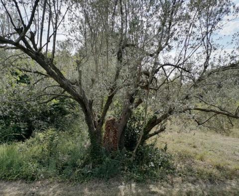 Land plot for sale in Banjole, 2.020m2, just 70 meters from the sea - pic 12