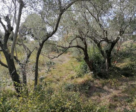 Land plot for sale in Banjole, 2.020m2, just 70 meters from the sea - pic 13