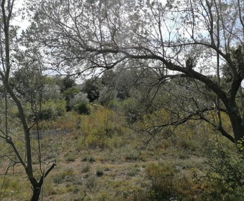Land plot for sale in Banjole, 2.020m2, just 70 meters from the sea - pic 14
