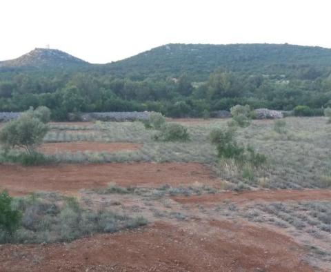 Zemědělská půda o rozloze více než 1,5 hektaru v oblasti Vodice, velký potenciál - pic 3