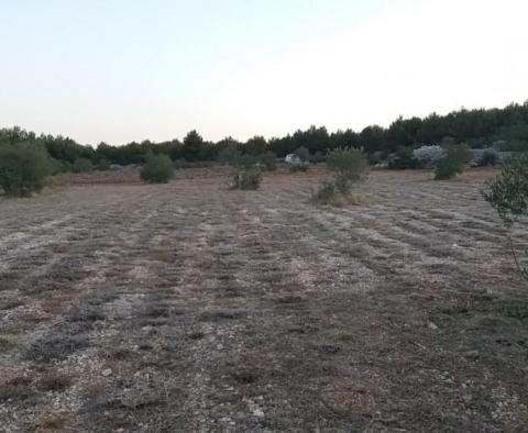 Zemědělská půda o rozloze více než 1,5 hektaru v oblasti Vodice, velký potenciál - pic 5