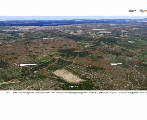Terrain agricole de plus de 1,5 hectares dans la région de Vodice, grand potentiel - pic 11