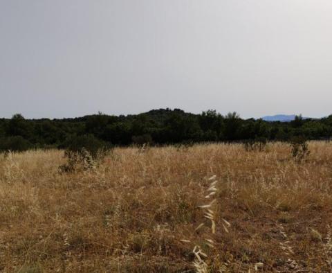 Terrain agricole de plus de 1,5 hectares dans la région de Vodice, grand potentiel - pic 13