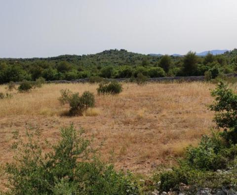 Zemědělská půda o rozloze více než 1,5 hektaru v oblasti Vodice, velký potenciál - pic 15