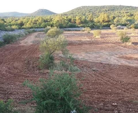 Zemědělská půda o rozloze více než 1,5 hektaru v oblasti Vodice, velký potenciál 