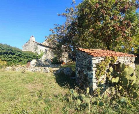 Stone house in Labin area with land plot of 3956 sq.m. - pic 4