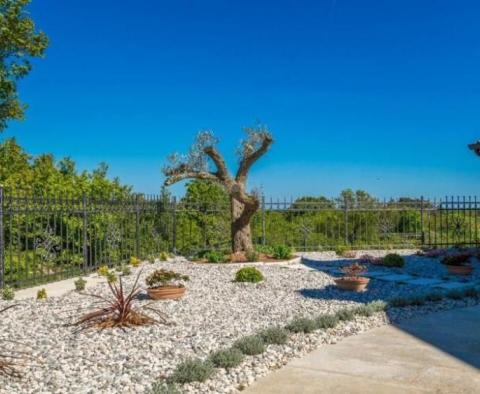 Villa in Filipana, Marčana with large land plot of 1429 sq.m. and pool - pic 11