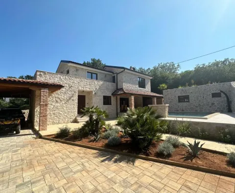 New stone villa with whirlpool in Donja Hlapa - pic 38