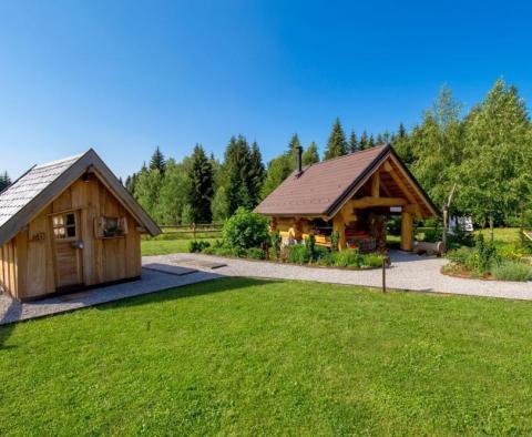 Exklusive Holzvilla in Ravna Gora auf 3893 qm. vom Land - foto 35