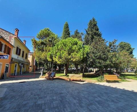 Commercial property in Novigrad centre, just 40 meters from the sea - pic 5