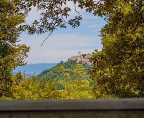 Grundstückskomplex zum Verkauf in Motovun, 15 000 qm. in Summe - foto 3