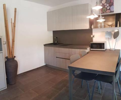 Nowoczesna willa w dolinach Žminj na Istrii, na działce o powierzchni 5204 m2. - pic 7