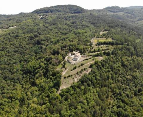 Unique complex of lands in Motovun - pic 2