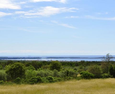 Astonishing estate in Vodnjan on 4671 sq.m. of land, just 2 km from the sea - pic 18